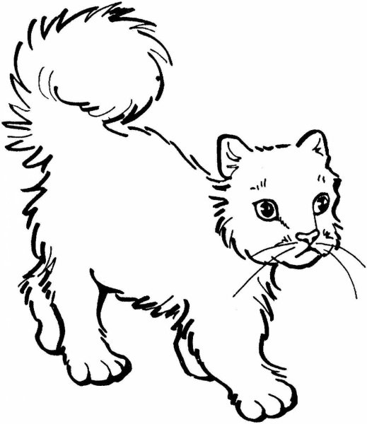 Кошки и собаки раскраски для детей
