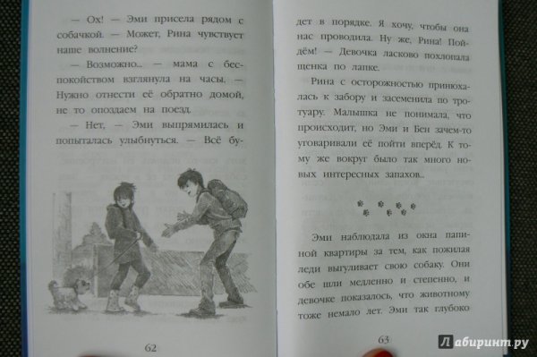 Щенок Рина, или таинственное путешествие Холли Вебб книга
