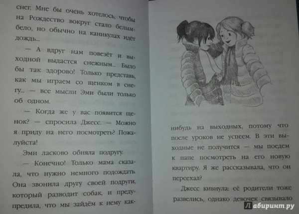 Холли Вебб щенок Рина или таинственное путешествие