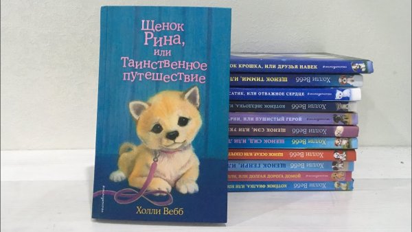 Щенок Рина, или таинственное путешествие Холли Вебб книга