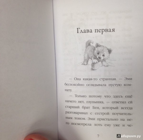 Холли Вебб щенок Рина или таинственное путешествие