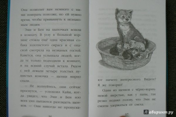 Холли Вебб щенок Рина или таинственное путешествие
