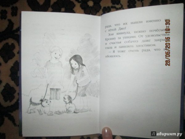 Щенок крошка или друзья навек Холли Вебб книга