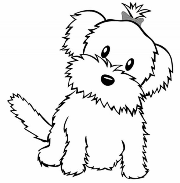 Раскраска Королевские питомцы Тыковка