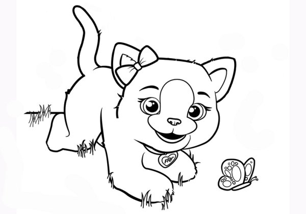 Собачка раскраска для детей 5-6 лет
