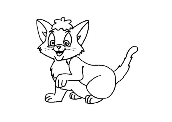 Сказочная кошка раскраска