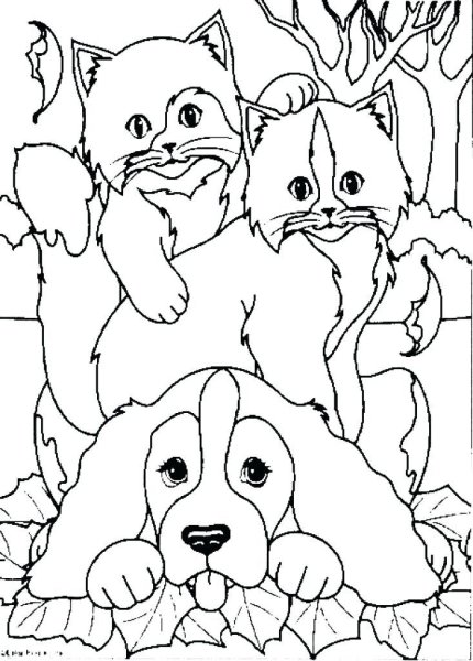 Кошки и собаки. Раскраска