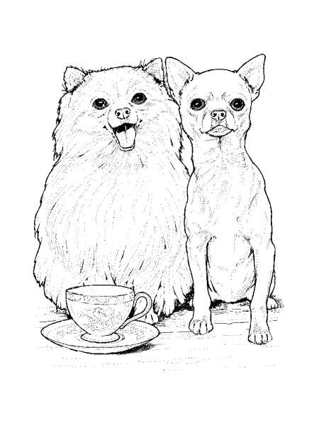 Кошка и собака рисунок