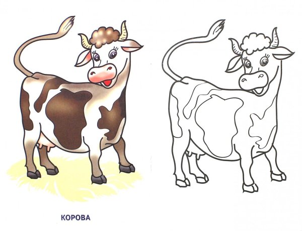 Раскраска корова