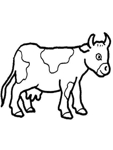 Раскраска корова