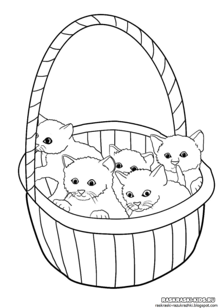 Раскраска кот
