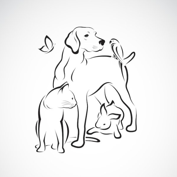 Кошка и собака картинки карандашом