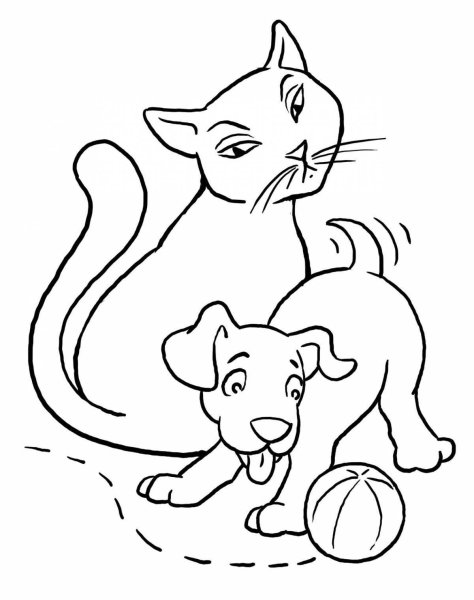 Кошки и собаки. Раскраска