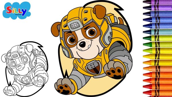 Paw Patrol Coloring book