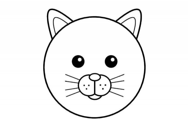Мордочка кота раскраска