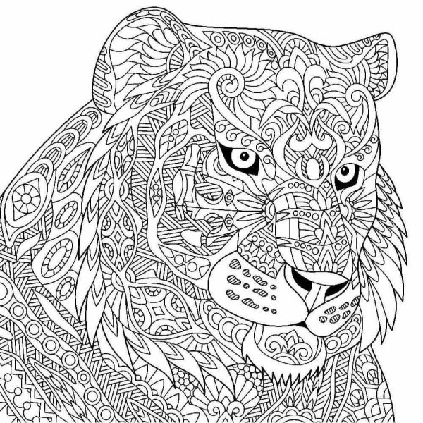 Раскраски антистресс для взрослых тигр