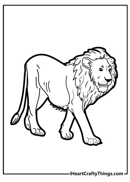 Lion Colour for Kids