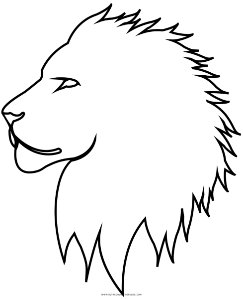 Лев контур