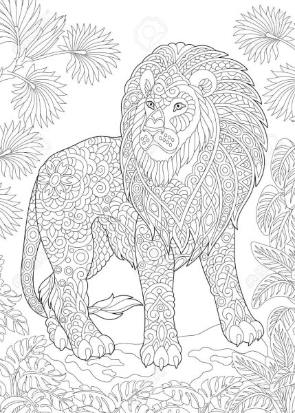 Раскраски лев для взрослых (45 фото)