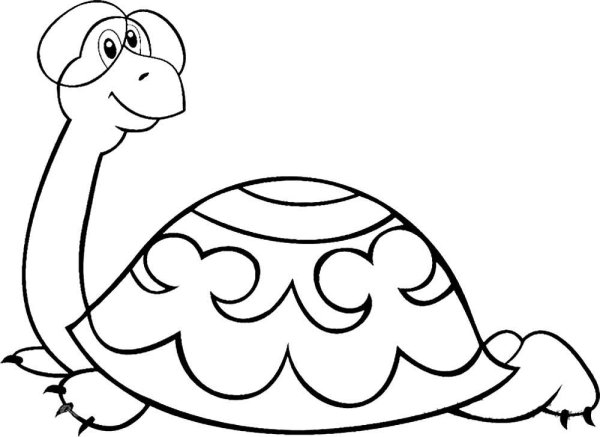 Черепаха Тортилла раскраска для детей