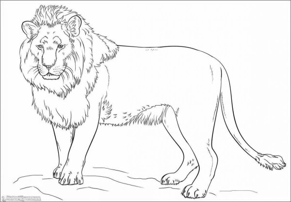 Раскраски лев сказочный (43 фото)