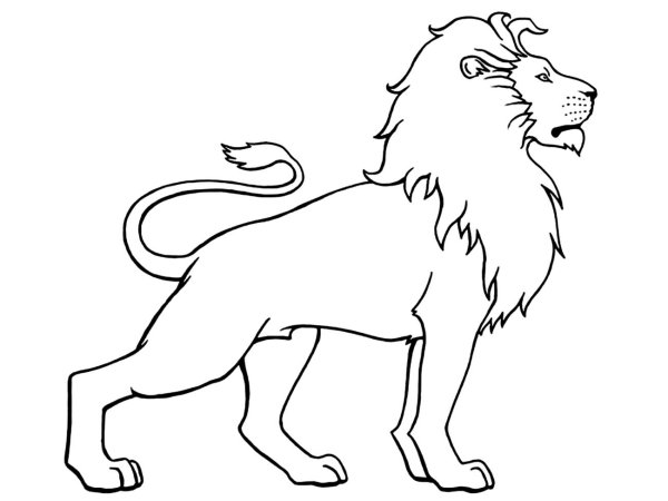 Раскраски лев царь зверей (40 фото)