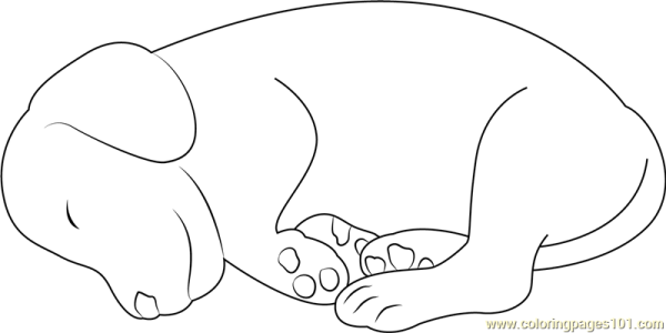Раскраски лежанка для собак (44 фото)