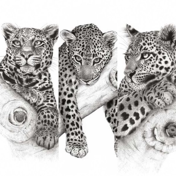 Белый леопард тату