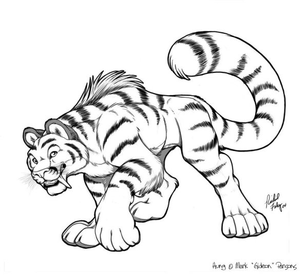 Тигр и Тигренок раскраска для детей