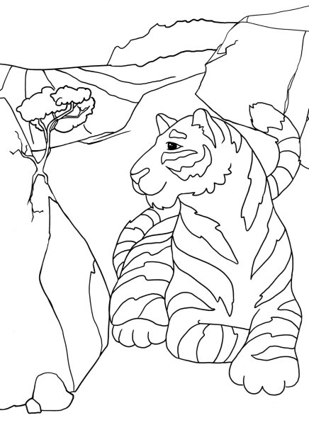 Раскраска Амурского тигра