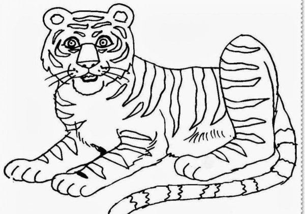 Тигр раскраска для детей