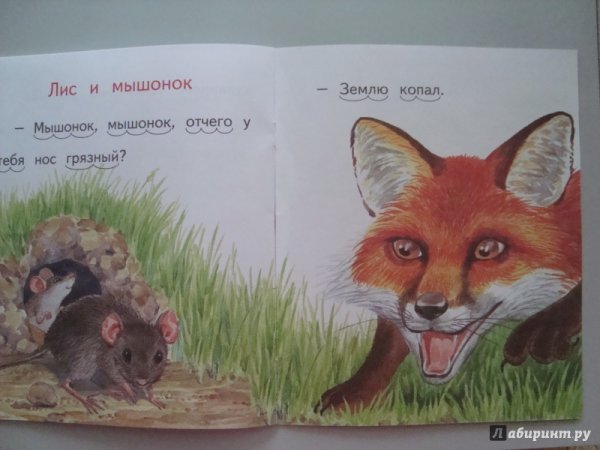 Лисенок и мышонок