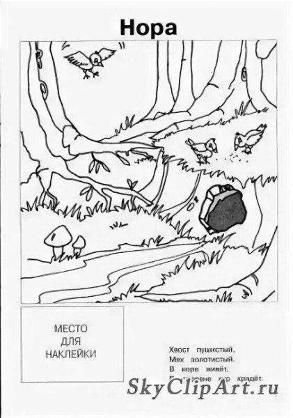 Нора раскраска