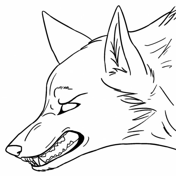 Wolf Lineart
