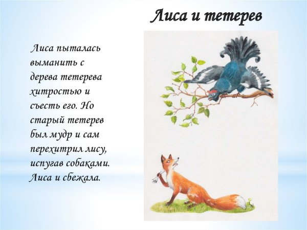 Лиса и тетерев пересказ