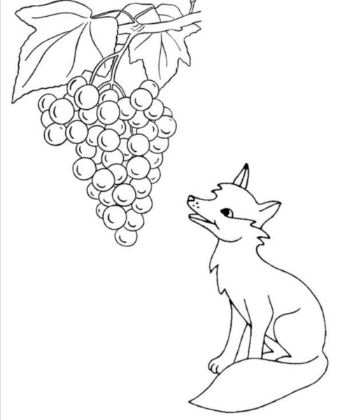 Басни Крылова картинки лиса и виноград