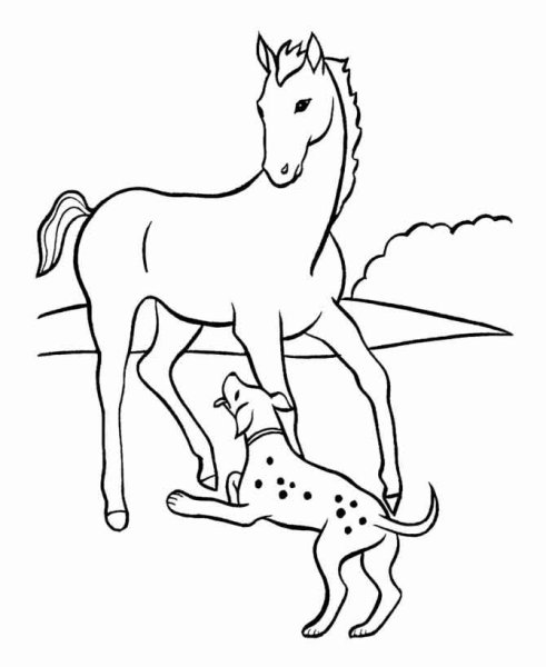 Раскраска конь