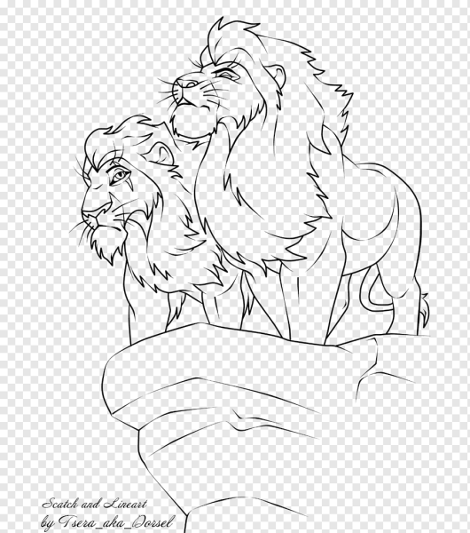 Лев и львица раскраска