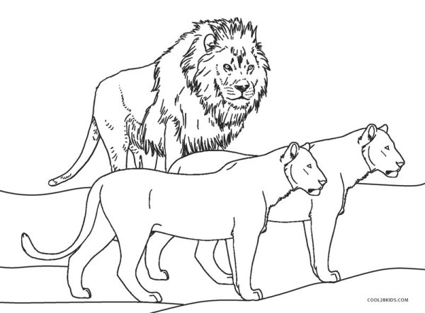 Раскраска львы Прайд