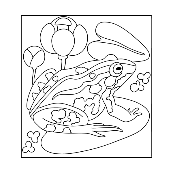 Раскраски лягушка и рыбка (46 фото)