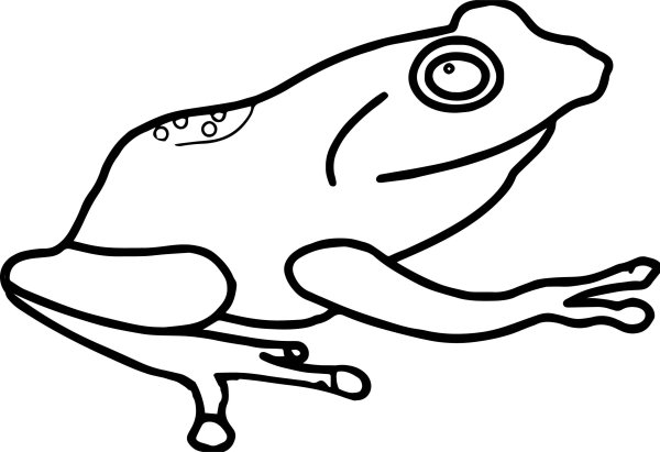 Лайн лягушки