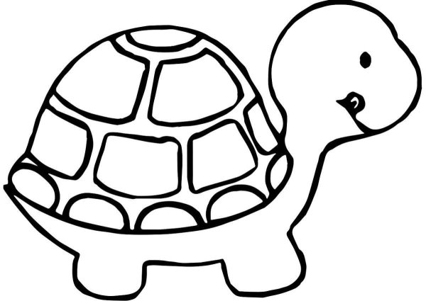 Раскраски черепах