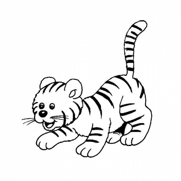 Раскраски маленький тигр (48 фото)