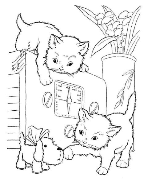 Котенок. Раскраска