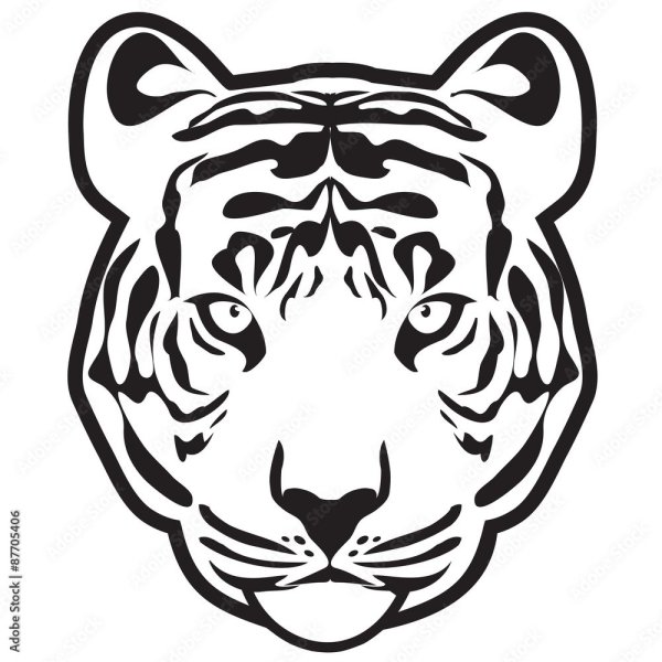 Тигр по контуру