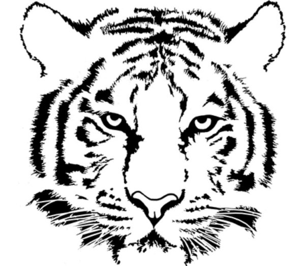 Морда тигра раскраска