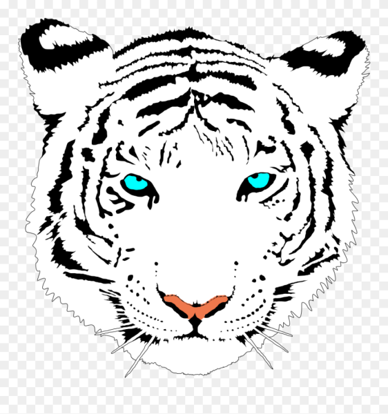 Тигр черно белый на прозрачном фоне