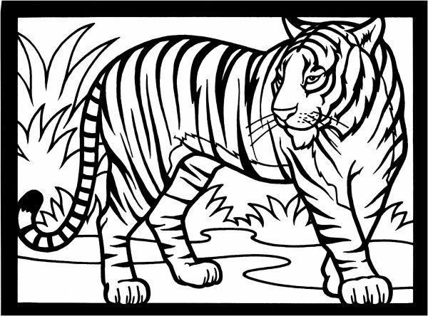 Раскраски маска амурского тигра (47 фото)