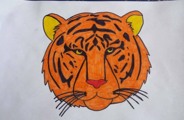 Нарисовать морду тигра для ребенка