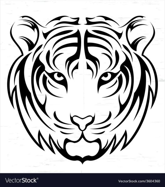Морда тигра для срисовки